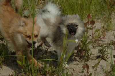June22_06_107.JPG
