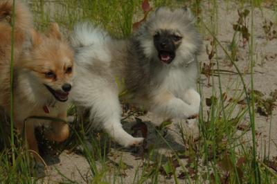 June22_06_108.JPG