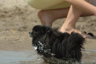 June22_06_147.JPG