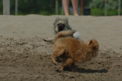 June22_06_175.JPG