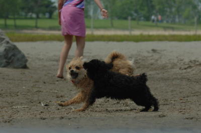 June22_06_209.JPG