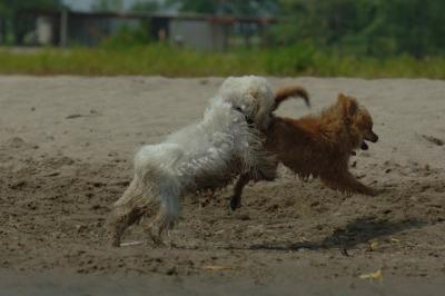 June22_06_220.JPG