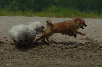 June22_06_222.JPG