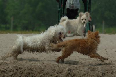 June22_06_223.JPG