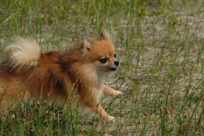 June22_06_047.JPG