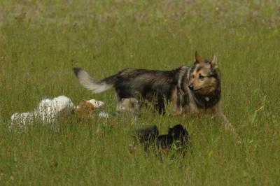 June22_06_065.JPG