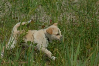 June22_06_082.JPG