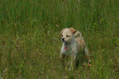 June22_06_086.JPG