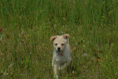 June22_06_088.JPG