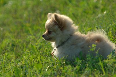 July13_06_198.JPG