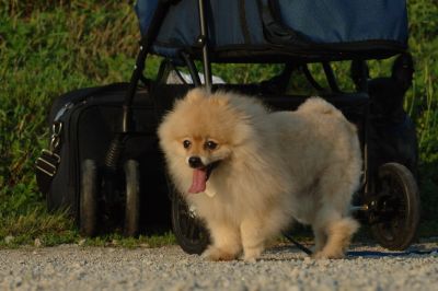 July13_06_210.JPG