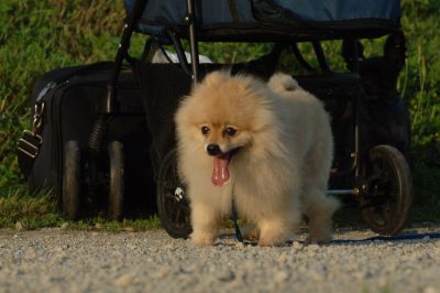 July13_06_211.JPG