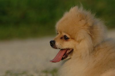 July13_06_213.JPG