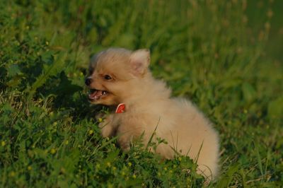 July13_06_216.JPG