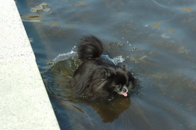 July13_06_006.JPG