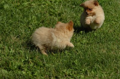 July13_06_011.jpg