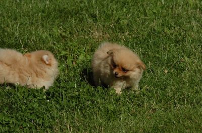 July13_06_013.JPG