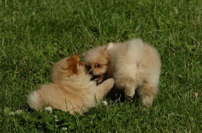 July13_06_015.JPG