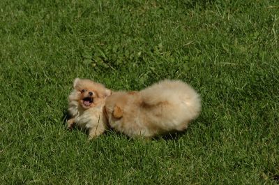 July13_06_022.JPG