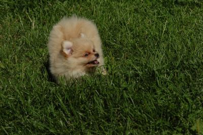 July13_06_025.JPG