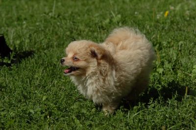 July13_06_026.JPG