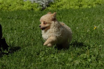 July13_06_030.JPG
