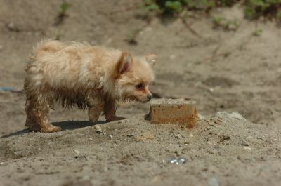 July16_06_768.JPG