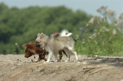 July16_06_792.JPG