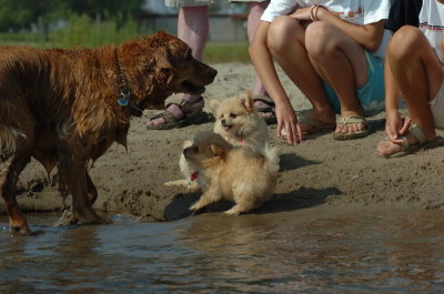 July30_06_317.JPG