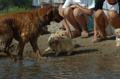 July30_06_318.JPG