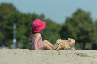 Aug5_06_291.JPG