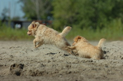 Aug5_06_297.JPG