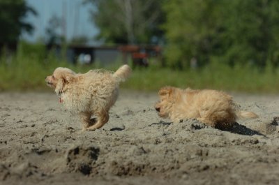 Aug5_06_298.JPG