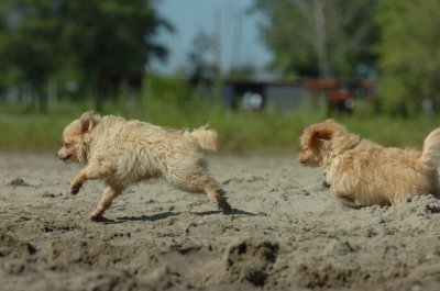 Aug5_06_299.JPG