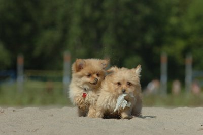Aug5_06_309.JPG