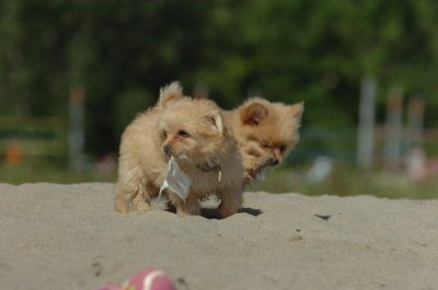 Aug5_06_310.jpg
