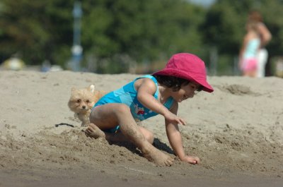 Aug5_06_317.JPG