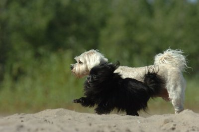 Aug5_06_325.JPG