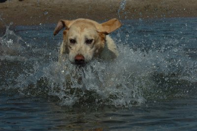 Aug5_06_328.JPG