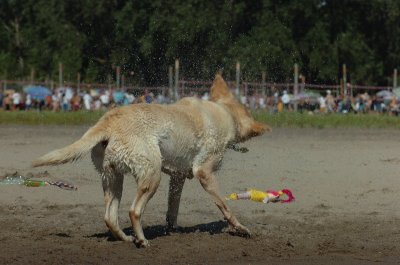 Aug5_06_330.JPG
