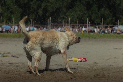 Aug5_06_331.JPG