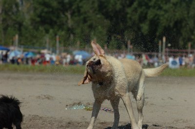 Aug5_06_335.JPG
