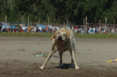 Aug5_06_338.JPG