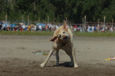 Aug5_06_339.JPG