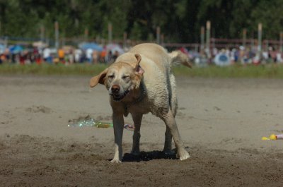 Aug5_06_342.JPG