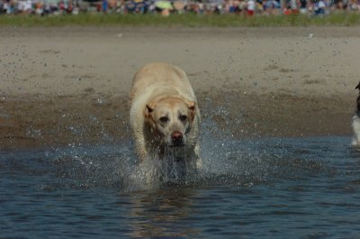 Aug5_06_344.JPG