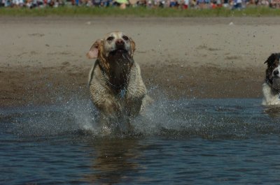 Aug5_06_345.JPG