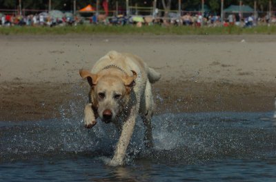 Aug5_06_347.JPG