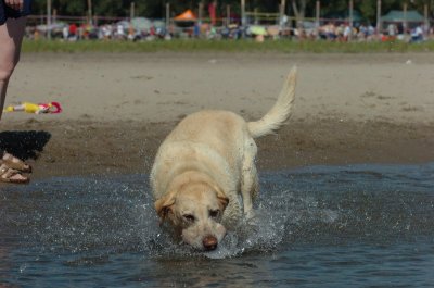 Aug5_06_349.JPG
