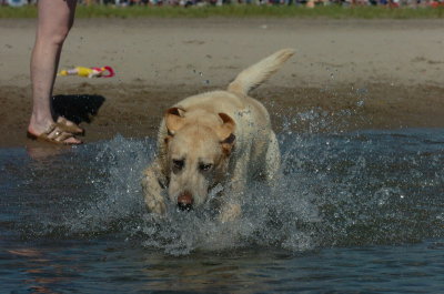 Aug5_06_351.JPG